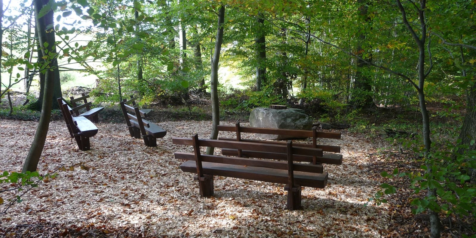 Gedächtnisplatz im Bestattungswald 12 Apostel Gedächtnisplatz im Bestattungswald 12 Apostel