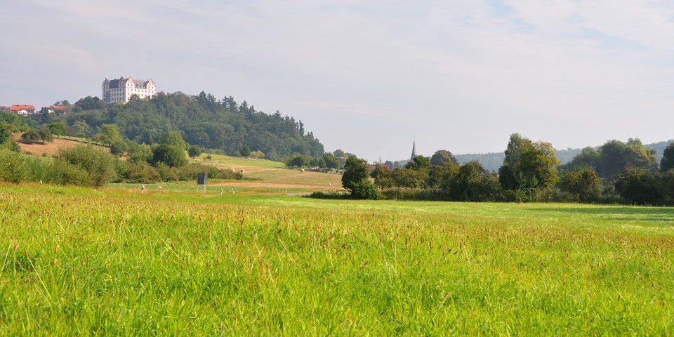 am Pfad der Vielfalt - Foto Achim Krell am Pfad der Vielfalt - Foto Achim Krell