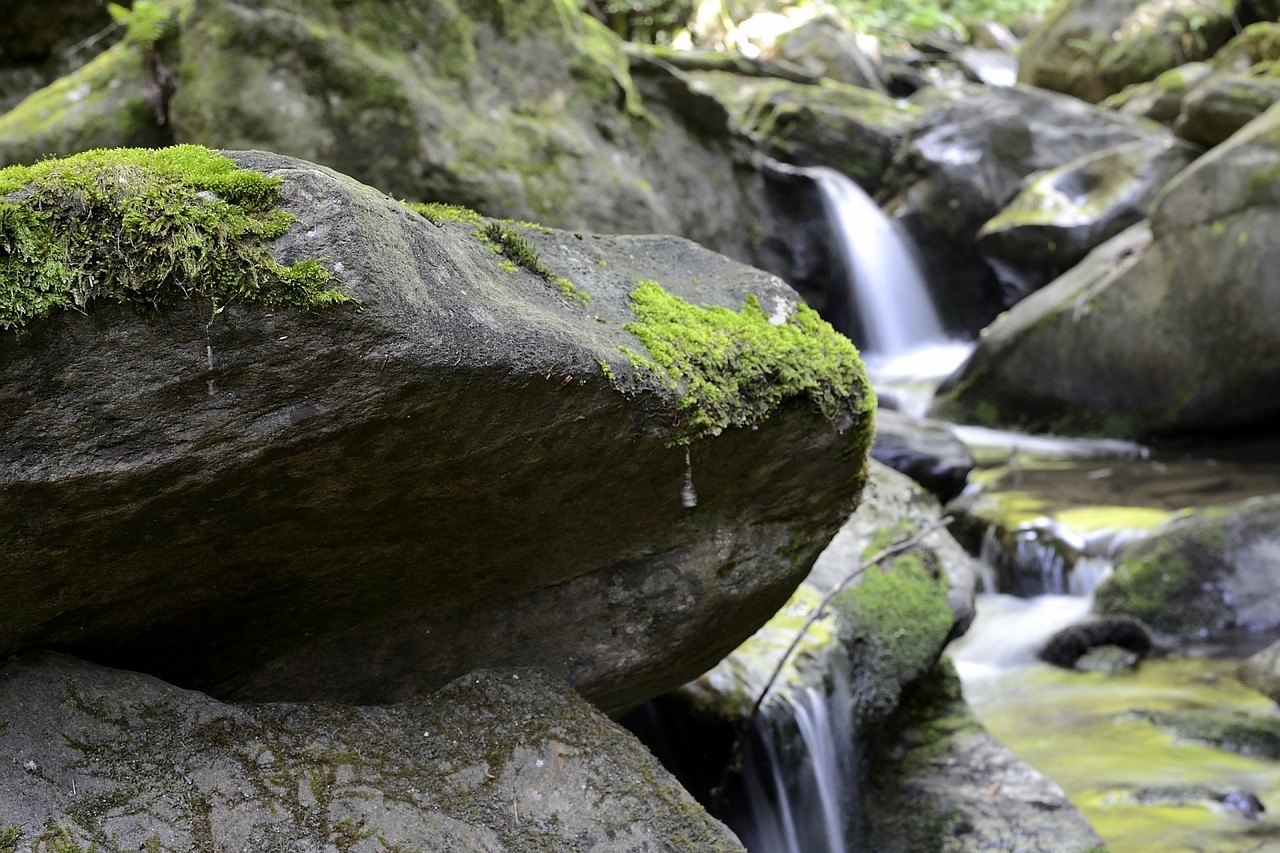 Bach Wasser Steine Bach Wasser Steine